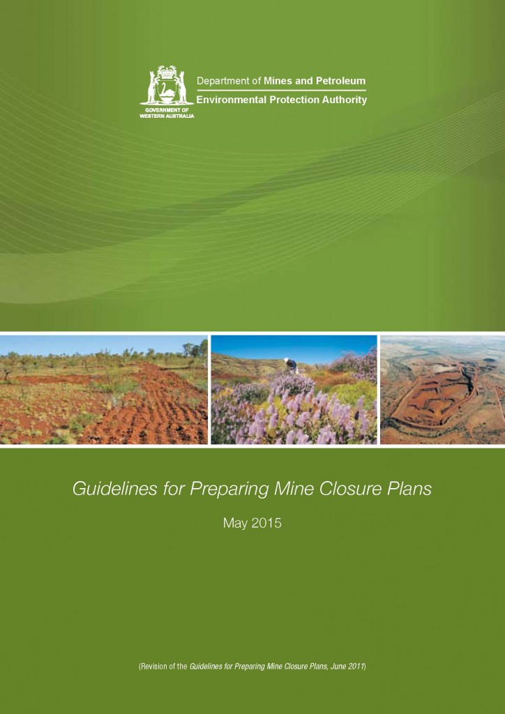 MCP guidelines May 2015