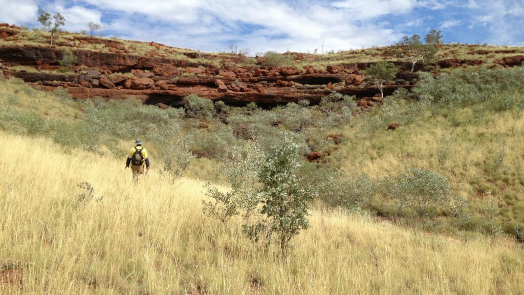 MBS personnel walking through Pilbara landscape with breakaway in the background.