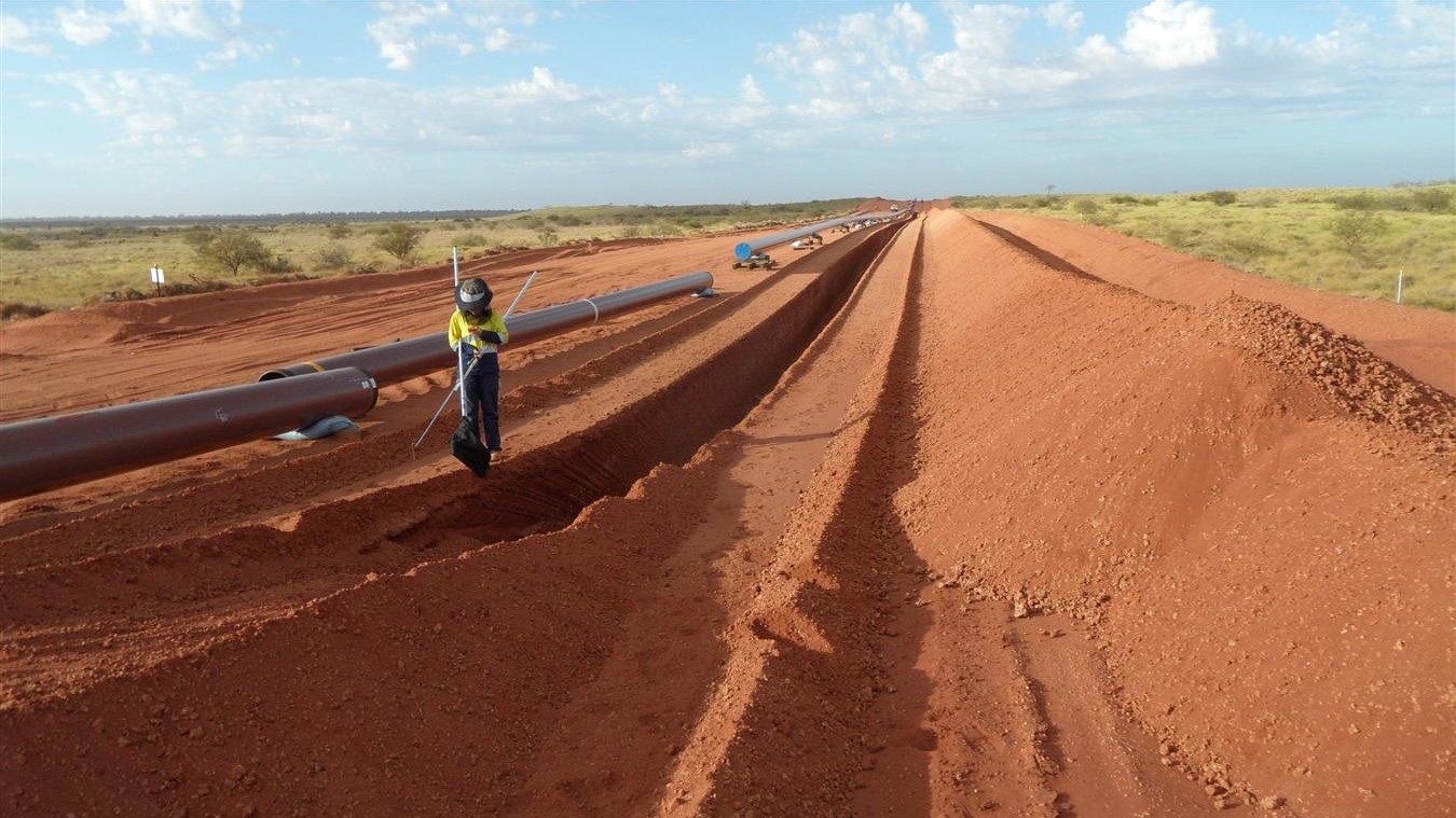 Pipeline being constructed with MBS personnel conducting fauna monitoring relocation and monitoring