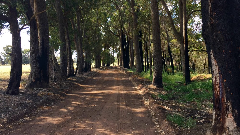 local government and civil works example of a country dirt road
