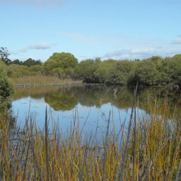 Increase in Area for the Kemerton Nature Reserve